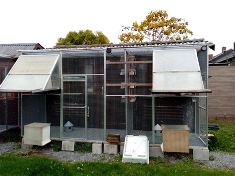 duivenhokken te koop